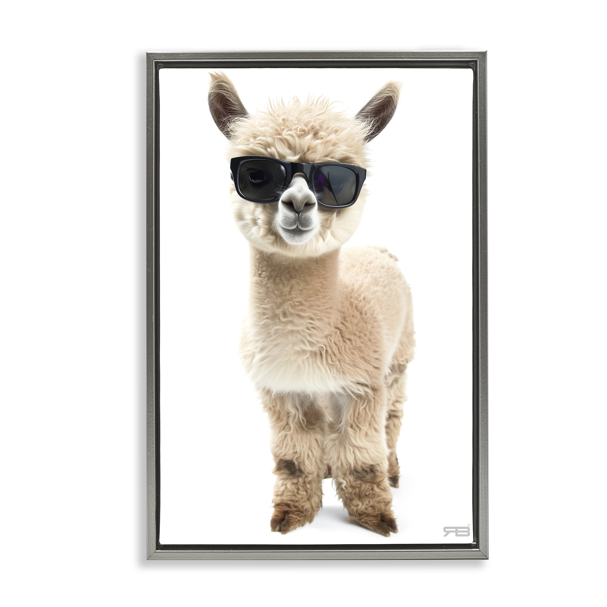 Stupell Industries Cool Alpaca & Glasses Animals & Insects Painting ...
