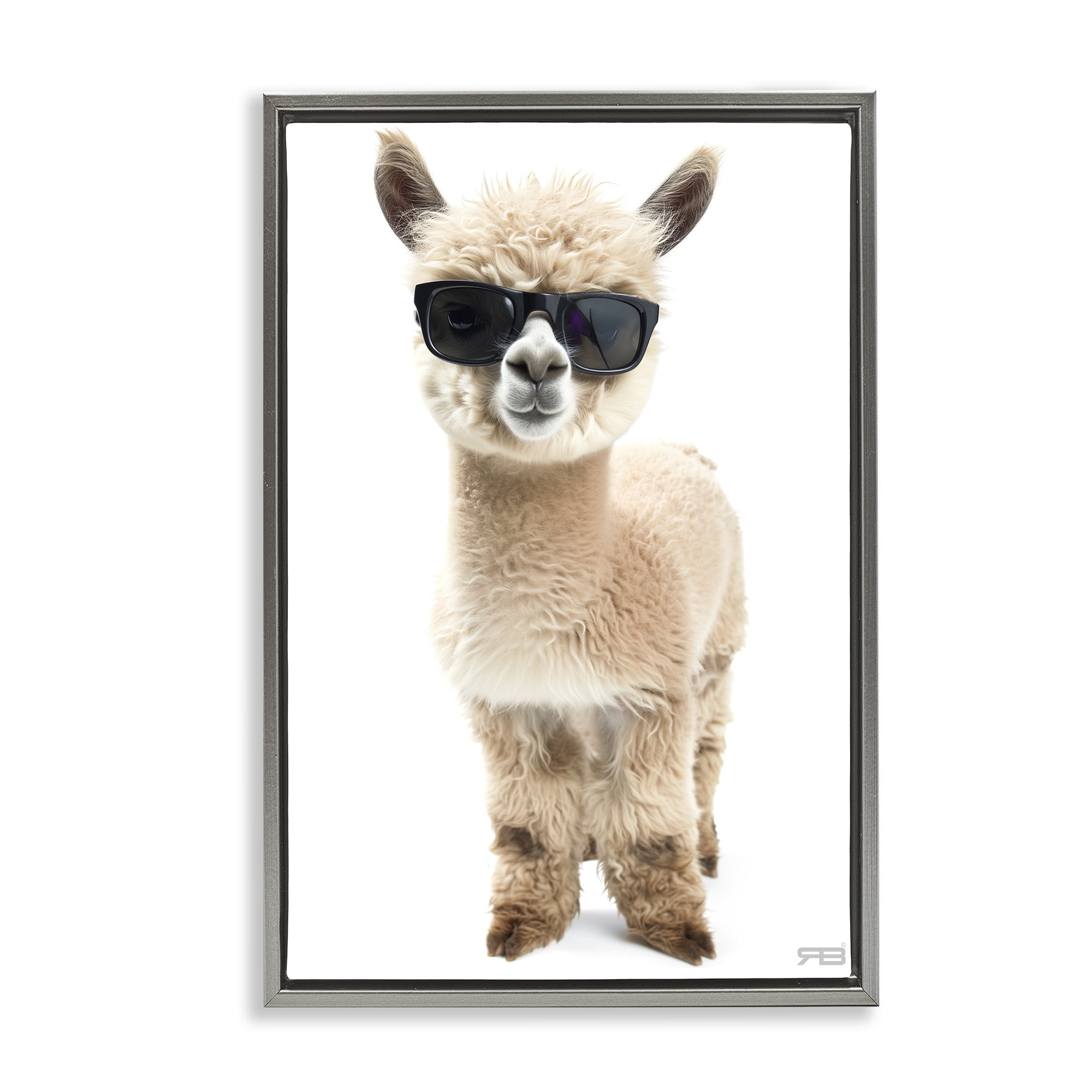Stupell Industries Cool Alpaca & Glasses Animals & Insects Painting Gray Floater Framed Art Print Wall Art, 21 x 31
