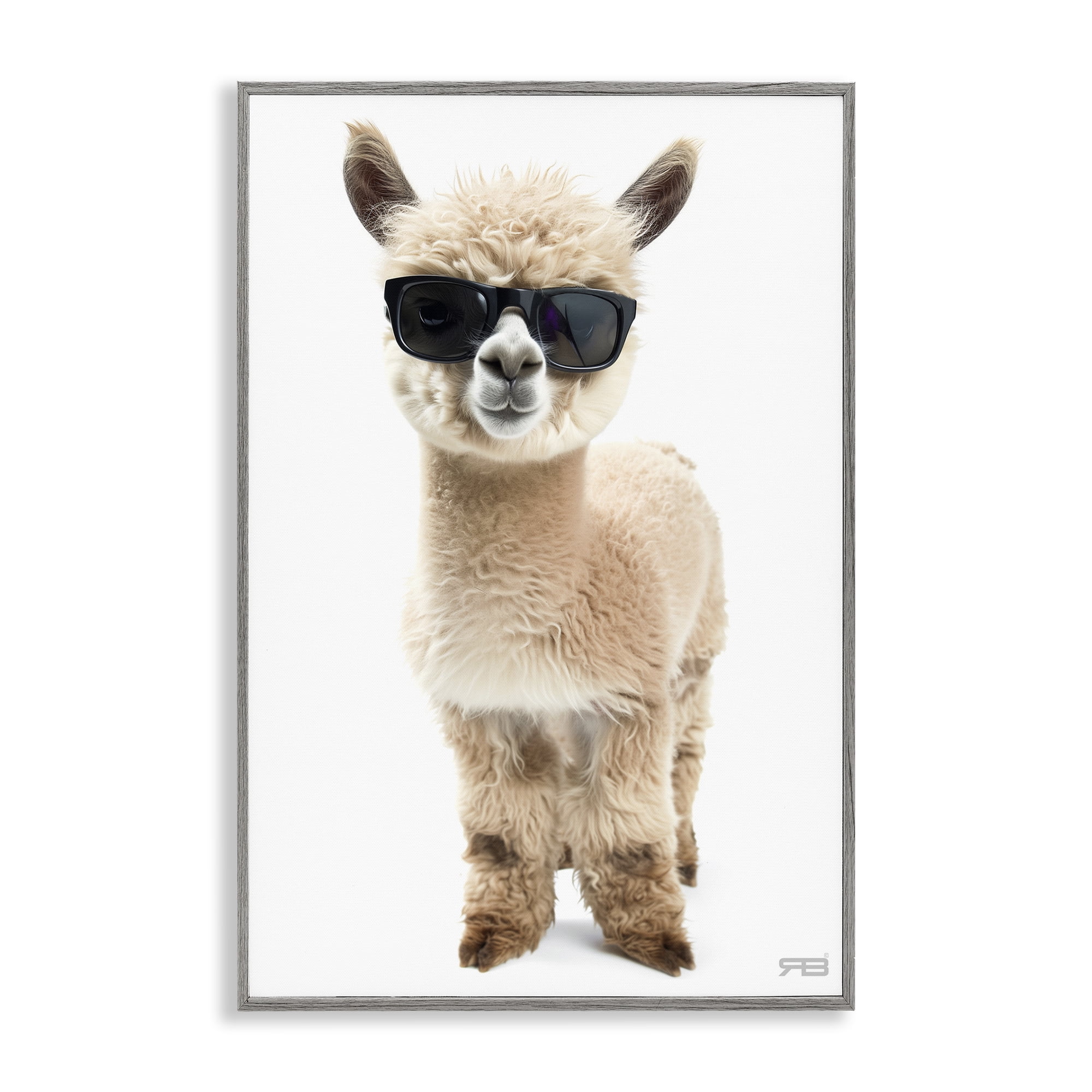 Stupell Industries Cool Alpaca & Glasses Animals & Insects Painting Gray Framed Art Print Wall Art, 20 x 30