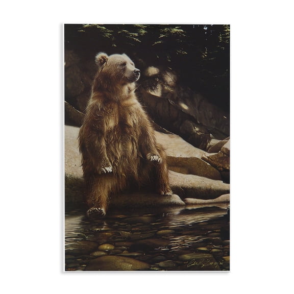 Stupell Industries Cool Foot Brown Bear Wall Plaque Art design by Collin Bogle, 15 x 10