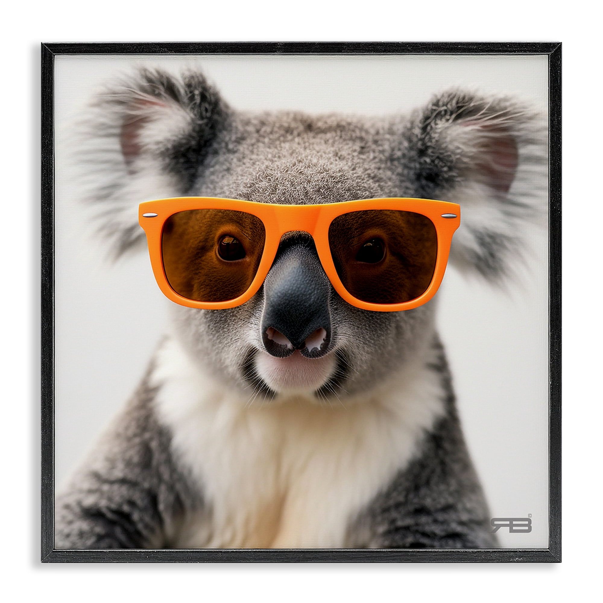 Stupell Industries Cool Koala & Glasses Animals Painting Black Framed Art Print Wall Art, 24 x 24