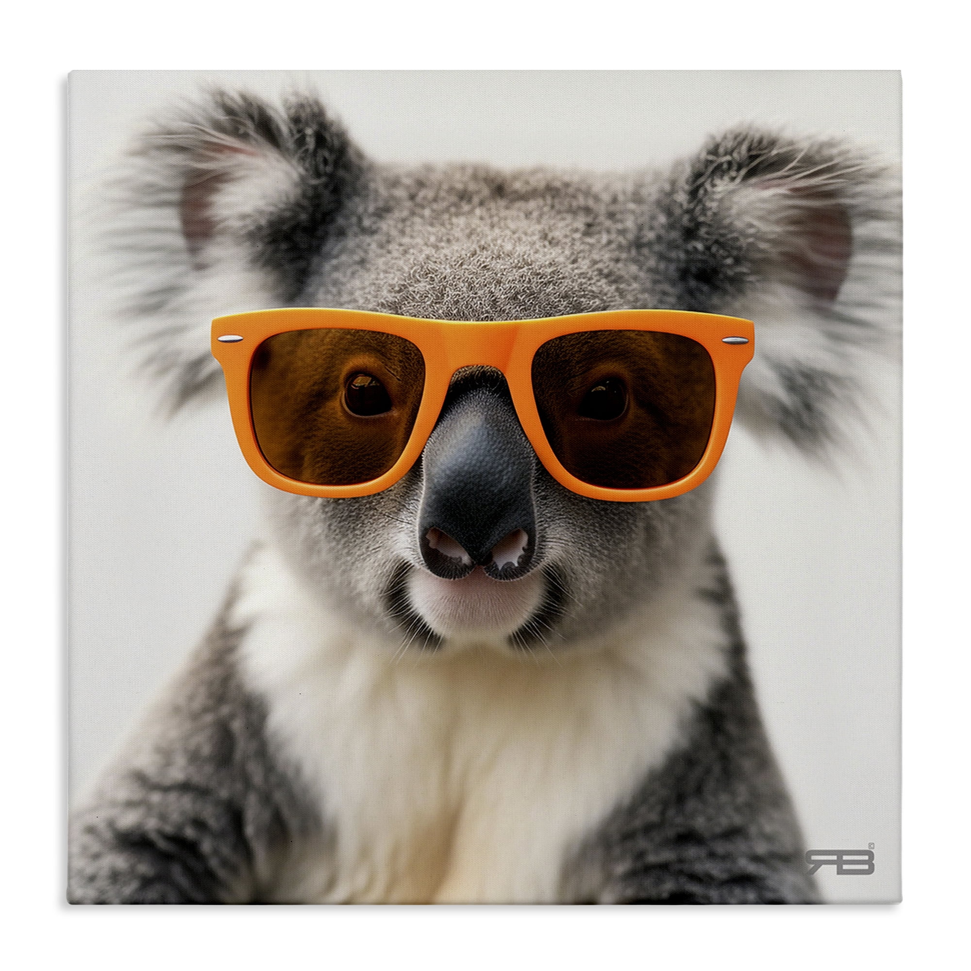 Stupell Industries Cool Koala & Glasses Animals Painting Wrapped