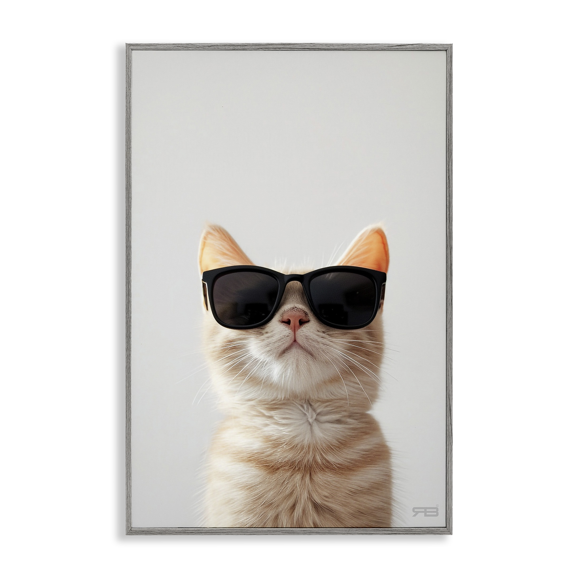 Stupell Industries Cool Sunglasses Cat Animals & Insects Painting Gray Framed Art Print Wall Art, 12 x 18