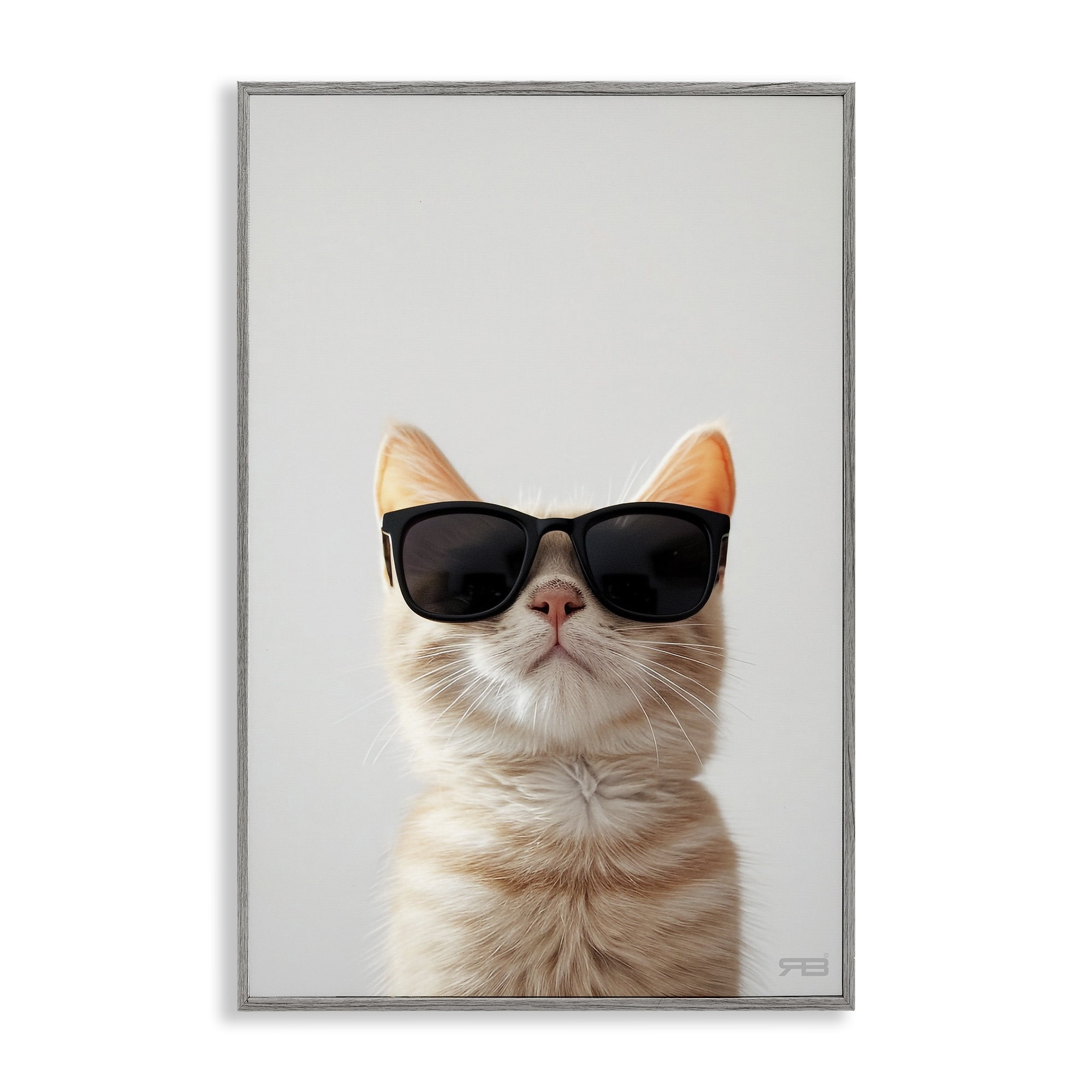 Stupell Industries Cool Sunglasses Cat Animals & Insects Painting Gray Framed Art Print Wall Art, 20 x 30