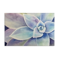Stupell Industries Cool Toned Succulent Leaves Floral Painting Wrapped Canvas Canvas Art Print Wall Art, 24 x 16