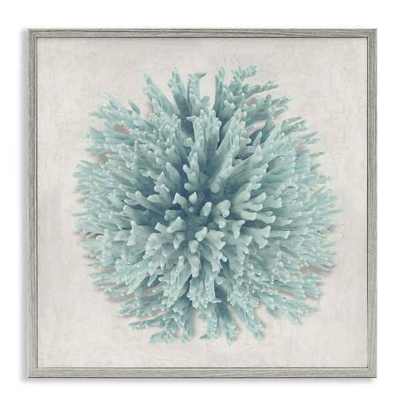 Stupell Industries Coral Ball Blue Sea Beach Design Nature Painting Gray Framed Art Print Wall Art, 17 x 17