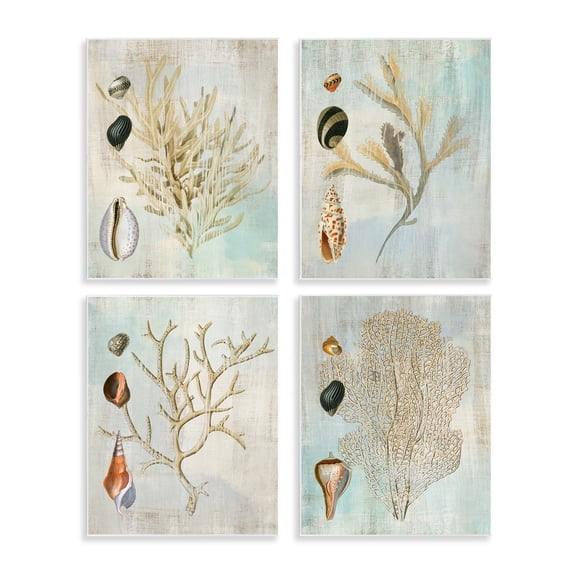 Stupell Industries Coral Branches with Various Seashells Animals Painting Unframed Art Print Wall Art, 11 x 14, Set of 4