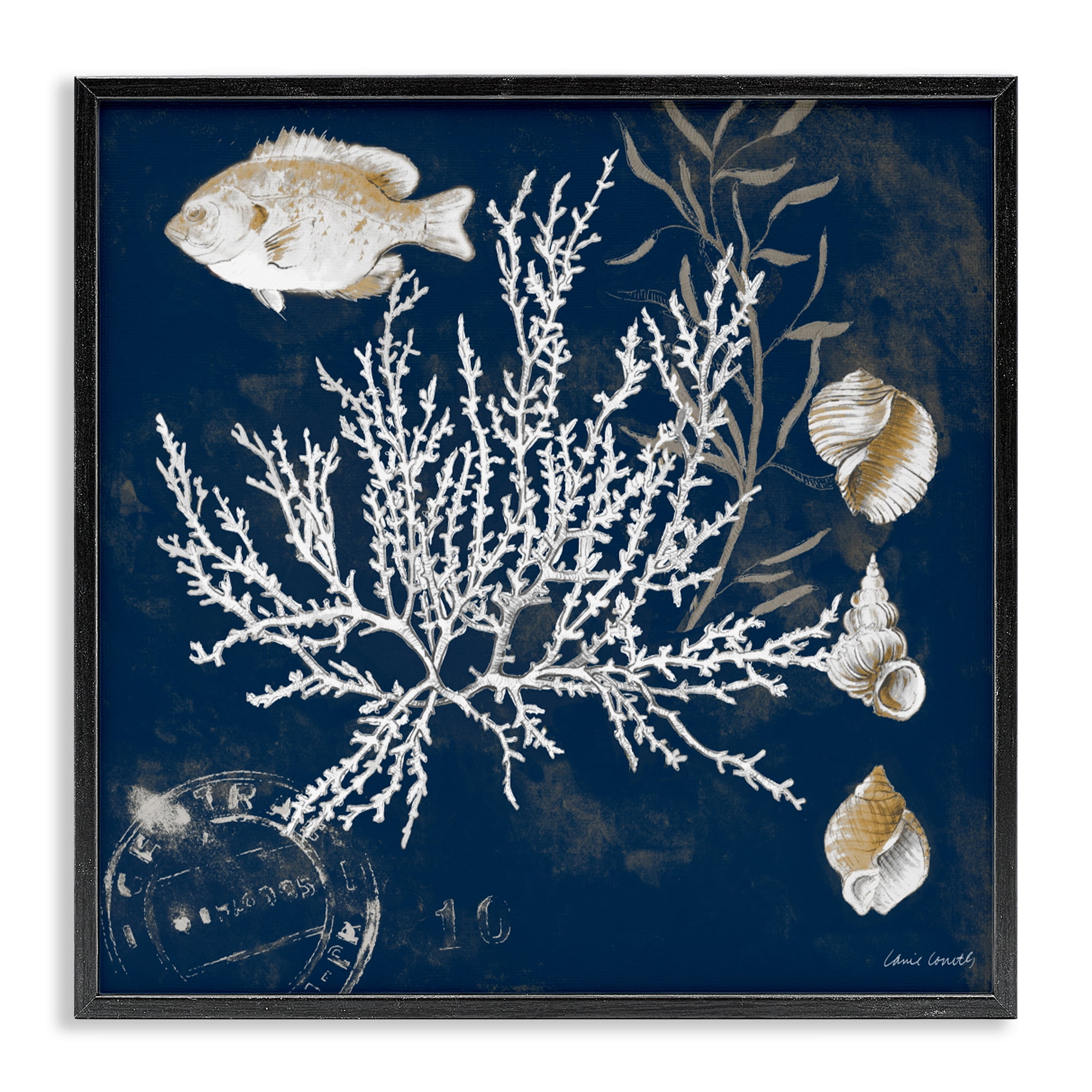 Stupell Industries Coral Medley on Blue Black Framed Giclee Art, design by Lanie Loreth