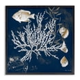thumbnail image 1 of Stupell Industries Traditional Coral Medley on Blue Black Framed Giclee Art, 12 x 12, by Lanie Loreth, 1 of 8
