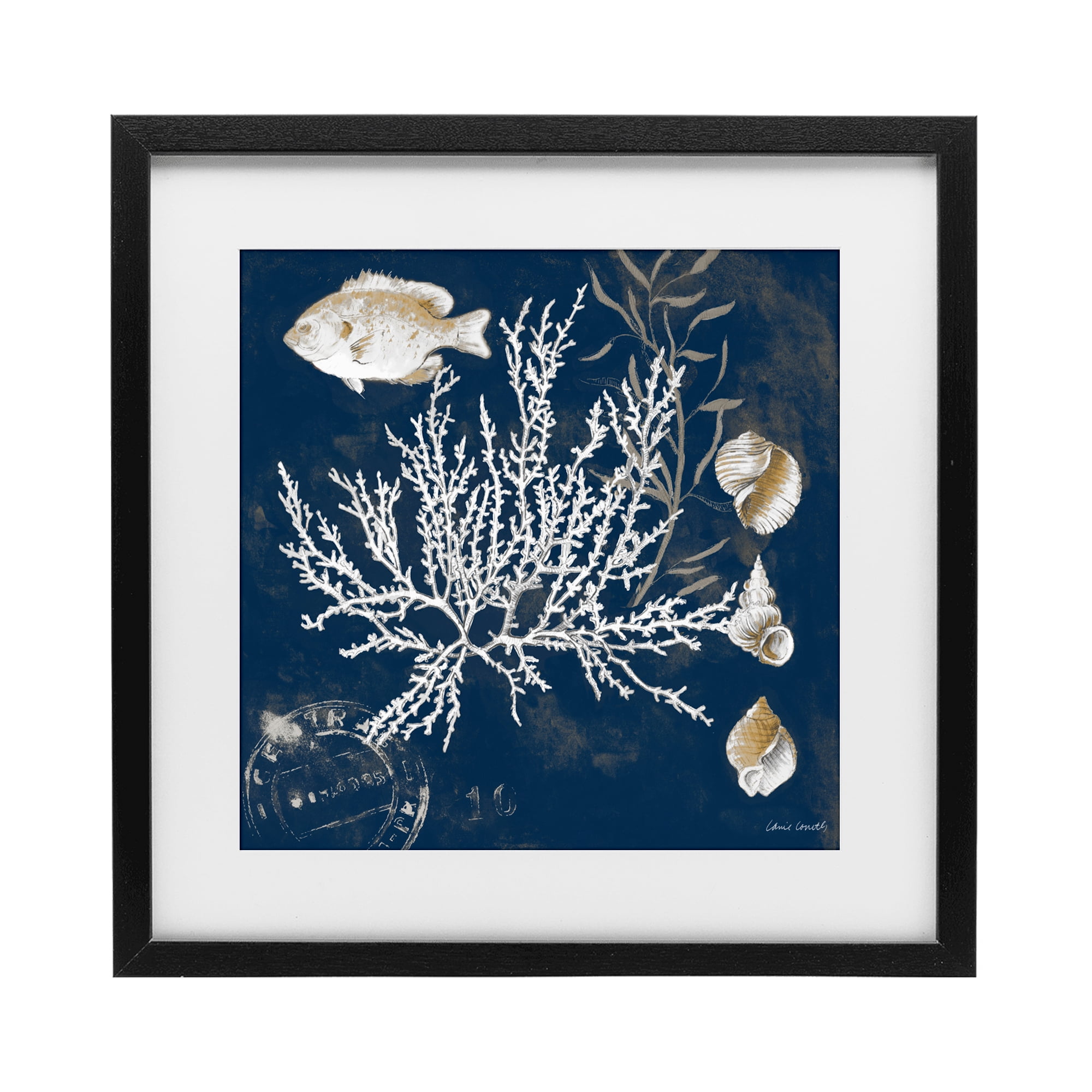 Stupell Industries Coral Medley on Blue Black Framed Print Under Glass, design by Lanie Loreth