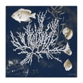 thumbnail image 1 of Stupell Industries Traditional Coral Medley on Blue Canvas Art, 17 x 17, by Lanie Loreth, 1 of 8