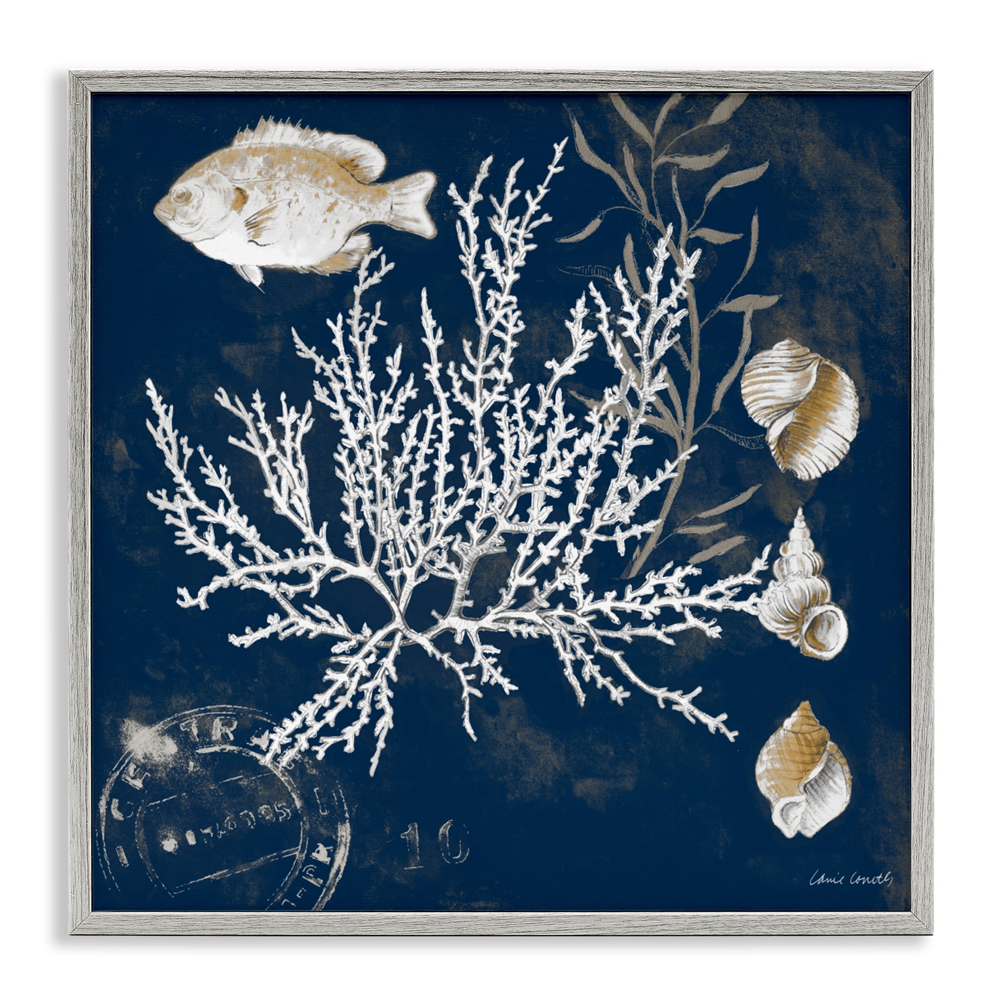 Stupell Industries Coral Medley on Blue Gray Framed Giclee Art, design by Lanie Loreth