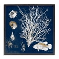 thumbnail image 1 of Stupell Industries Coastal Coral Medley on Navy Black Framed Giclee Art, 24 x 24, by Lanie Loreth, 1 of 8