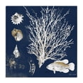 thumbnail image 1 of Stupell Industries Coastal Coral Medley on Navy Canvas Art, 36 x 36, by Lanie Loreth, 1 of 8