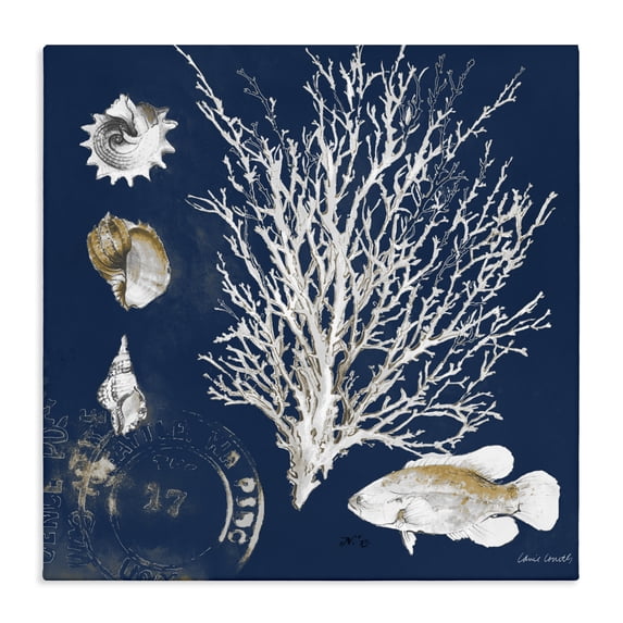 Stupell Industries Coastal Coral Medley on Navy Canvas Art, 36 x 36, by Lanie Loreth