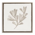 thumbnail image 1 of Stupell Industries Shabby Chic Coral Reef Drift Brown Floating Frame Canvas Art, 25 x 25, by Lily K., 1 of 7