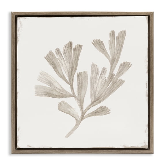 Stupell Industries Shabby Chic Coral Reef Drift Brown Floating Frame Canvas Art, 25 x 25, by Lily K.