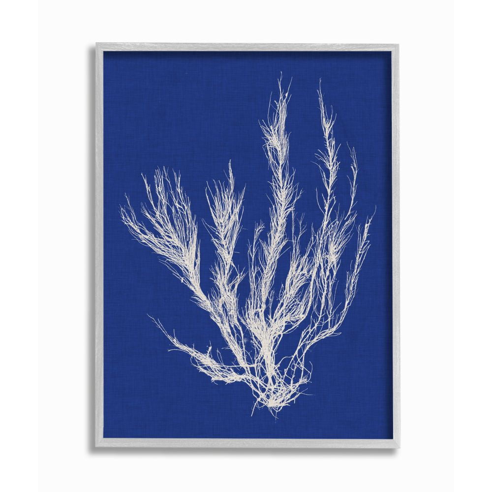 Stupell Industries Coral Seaweed Blue White Beach Design Framed Wall Art by Vision Studio
