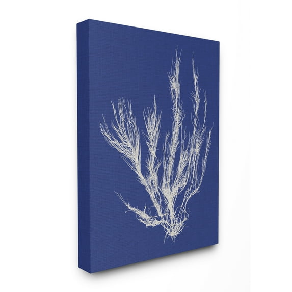 Stupell Industries Coral Seaweed Blue White Beach Design Graphic Art Gallery-Wrapped Canvas Print Wall Art, 36x48, by Vision Studio