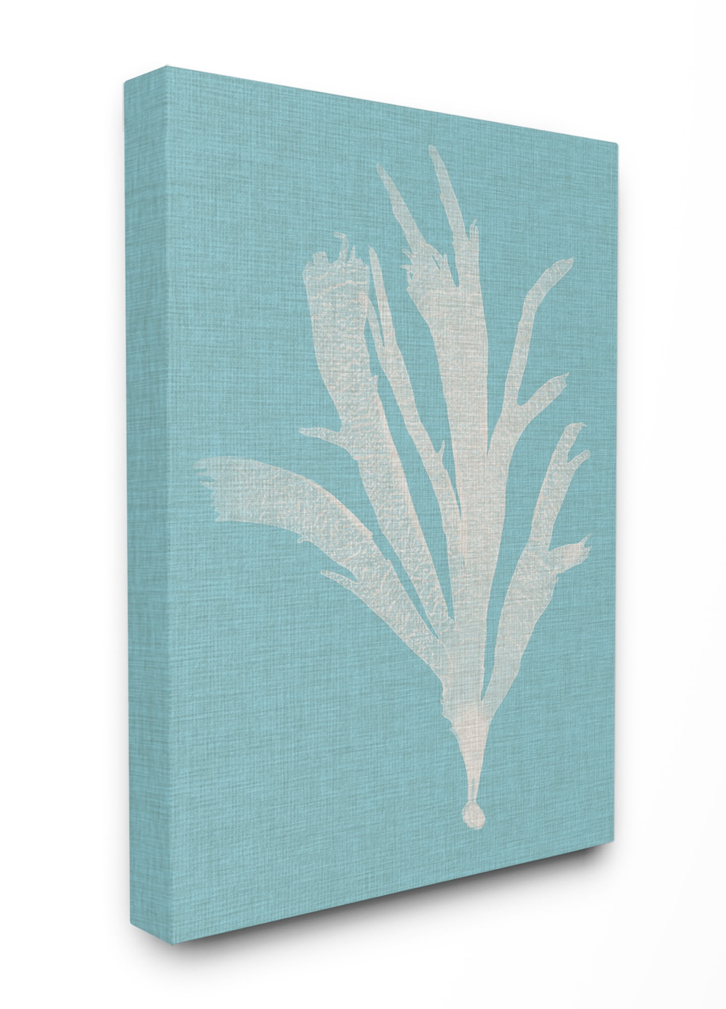 Stupell Industries Coral Seaweed Cyan White Beach Design Canvas Wall Art by Vision Studio, 24" x 30", Canvas
