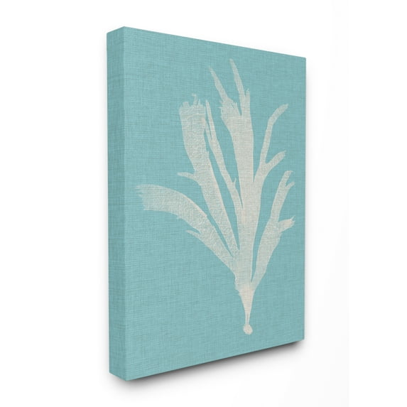 Stupell Industries Coral Seaweed Cyan White Beach Design Canvas Wall Art by Vision Studio, 24" x 30", Canvas