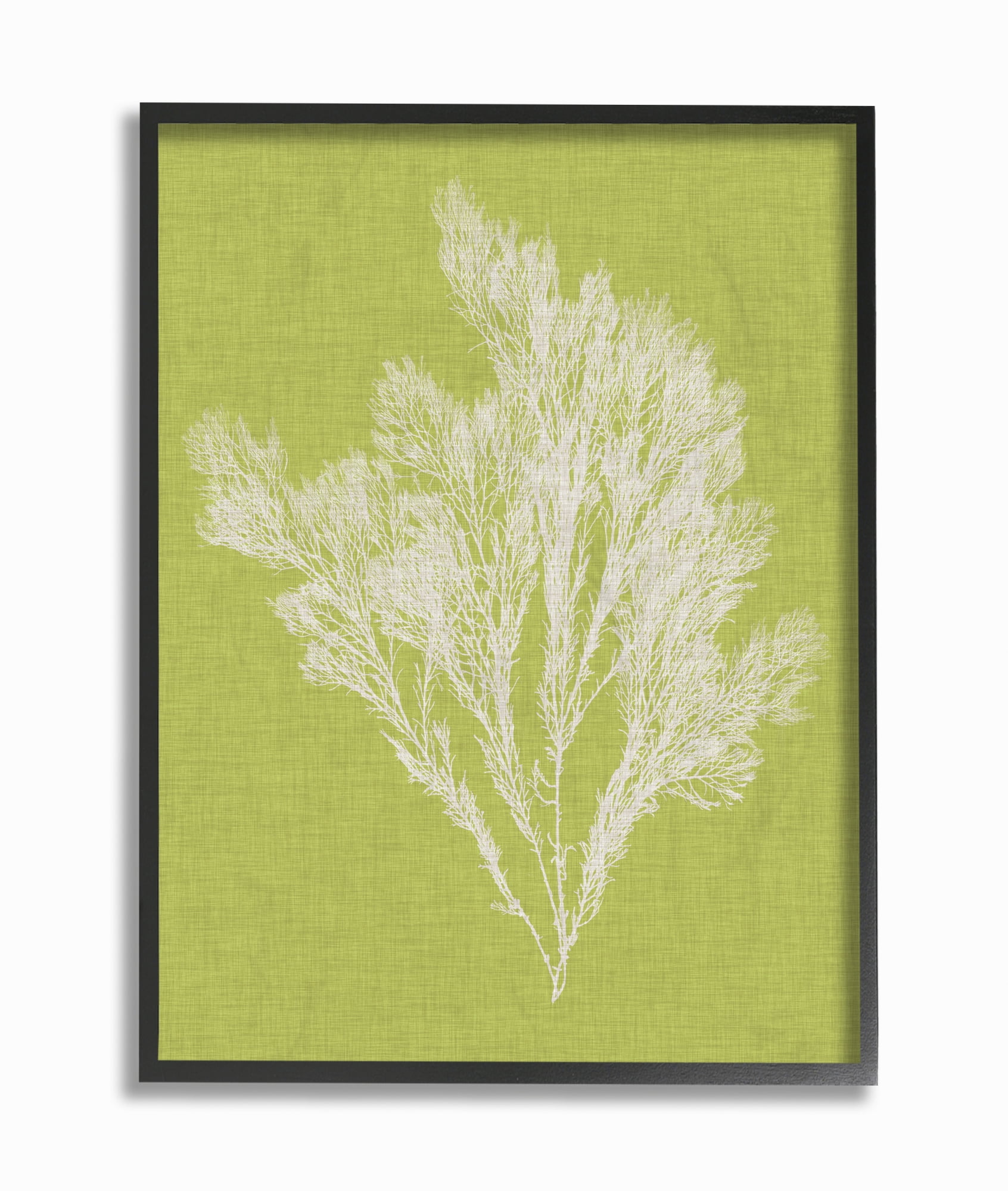 Stupell Industries Coral Seaweed Green White Beach Design Framed Wall Art by Vision Studio