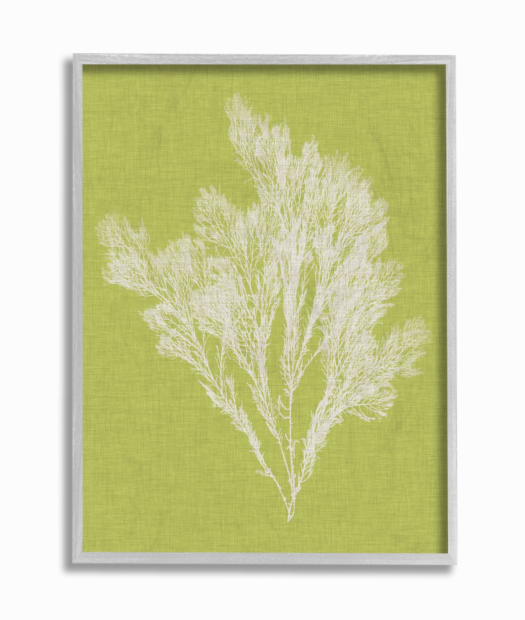 Stupell Industries Coral Seaweed Green White Beach Design Graphic Art Gray Framed Art Print Wall Art, 11x14, by Vision Studio