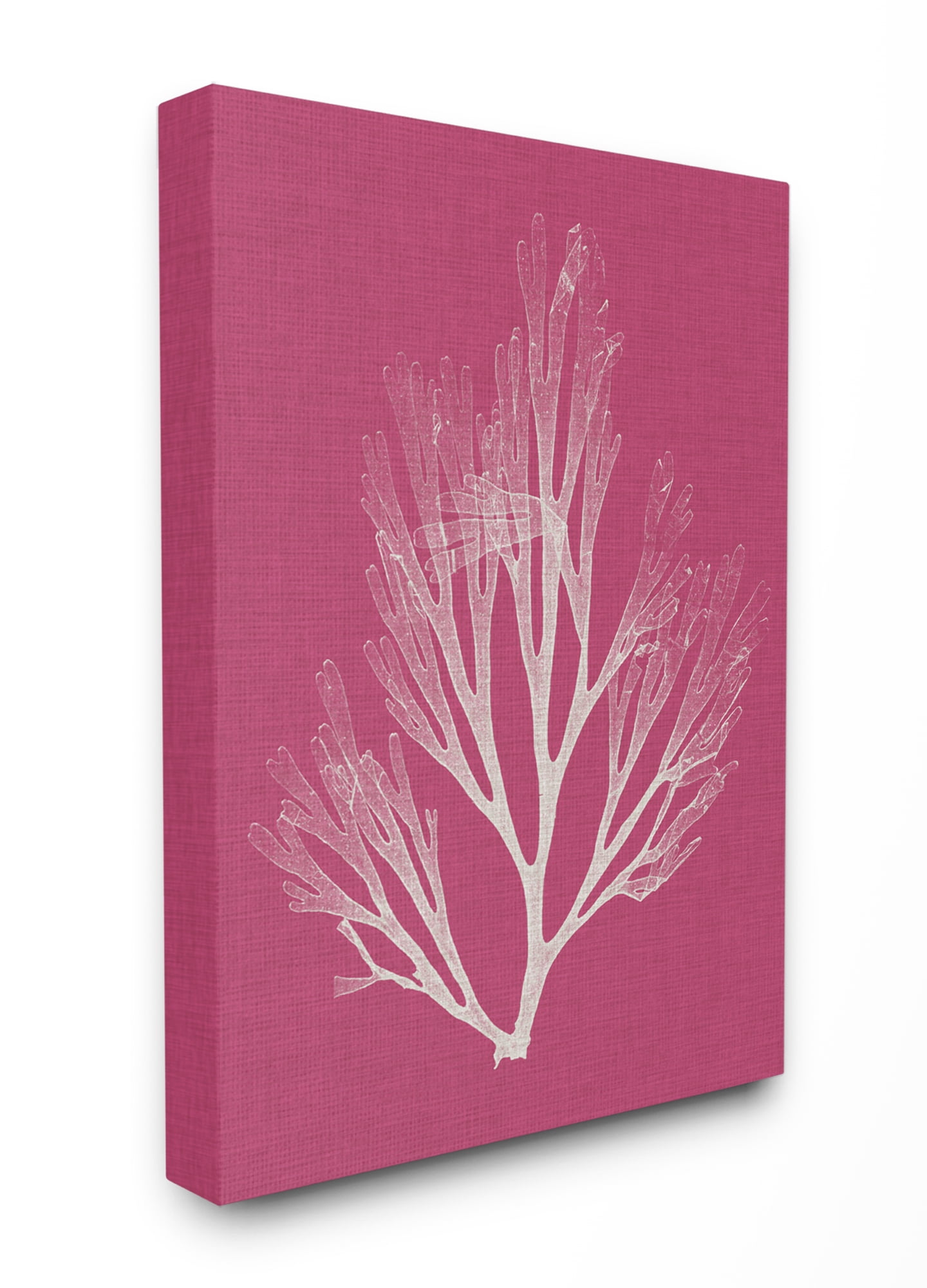 Stupell Industries Coral Seaweed Magenta White Beach Design Canvas Wall Art by Vision Studio