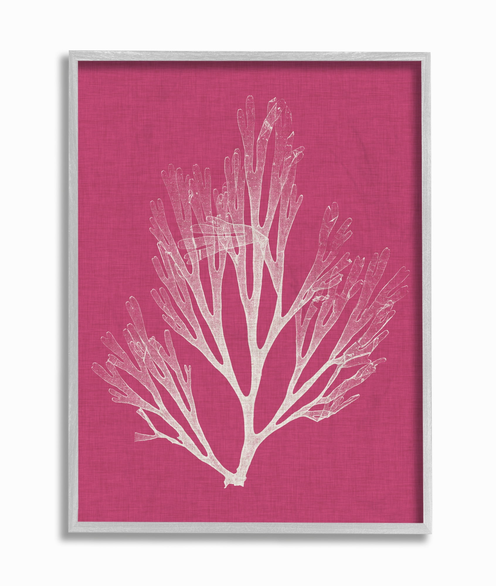 Stupell Industries Coral Seaweed Magenta White Beach Design Framed Wall Art by Vision Studio