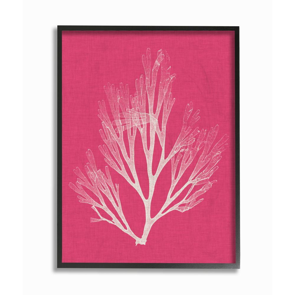 Stupell Industries Coral Seaweed Magenta White Beach Design Framed Wall Art by Vision Studio