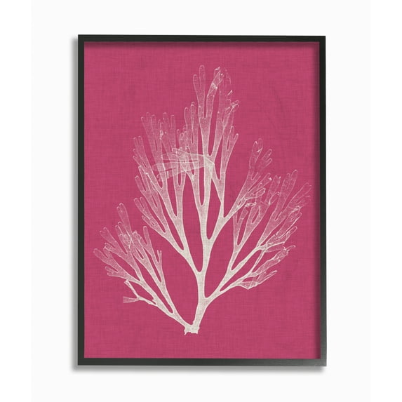 Stupell Industries Coral Seaweed Magenta White Beach Design Framed Wall Art by Vision Studio