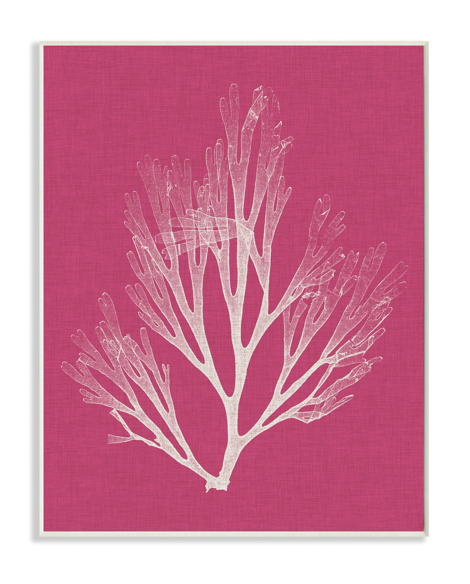 Stupell Industries Coral Seaweed Magenta White Beach Design Wood Plaque by Vision Studio