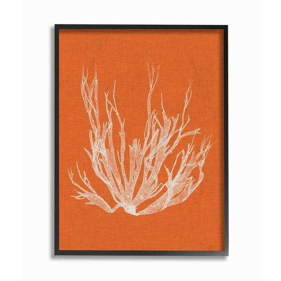 Stupell Industries Coral Seaweed Orange White Beach Design Framed Wall Art by Vision Studio