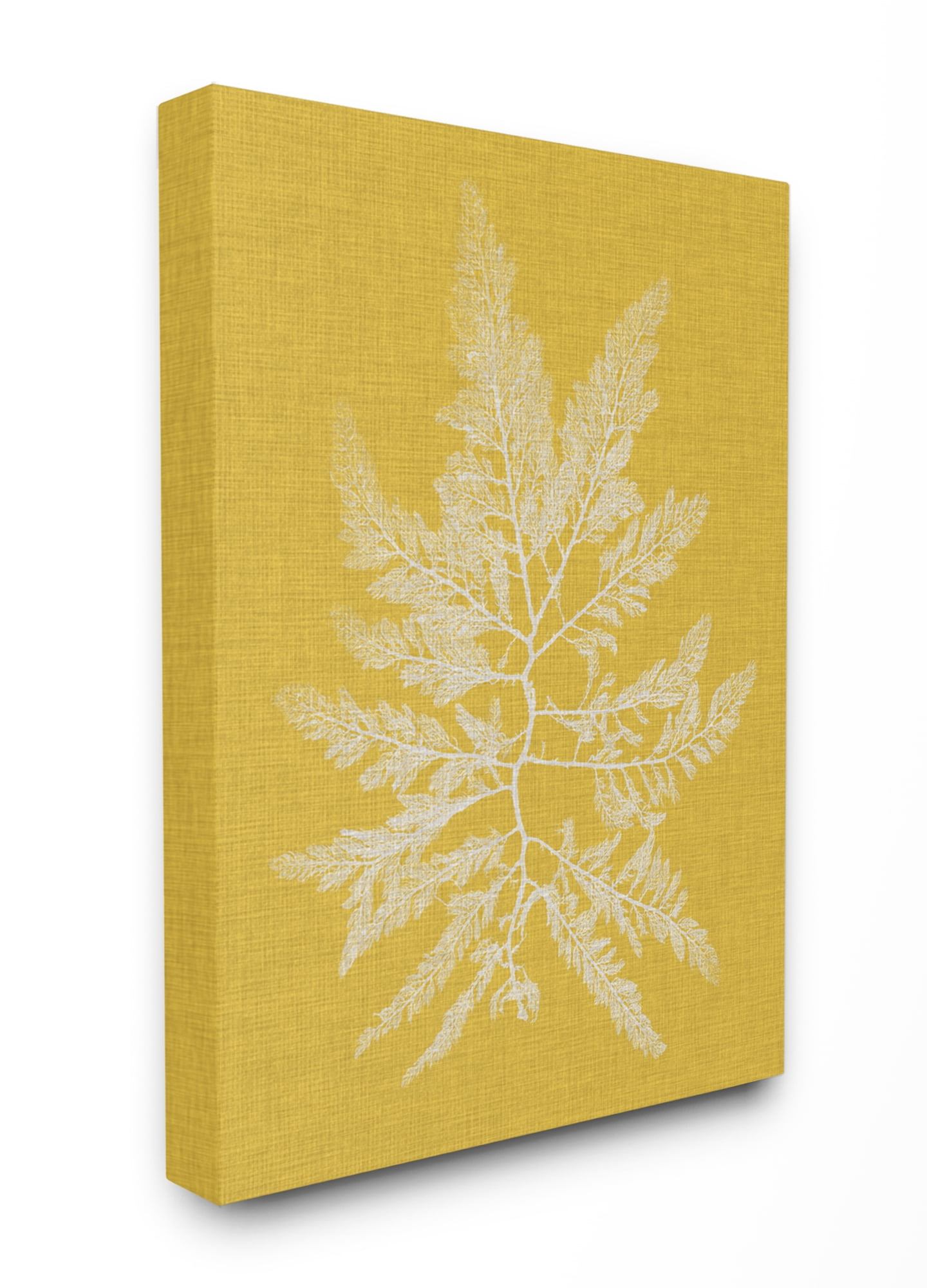 Stupell Industries Coral Seaweed Yellow White Beach Design Canvas Wall Art by Vision Studio, 30" x 40", Canvas