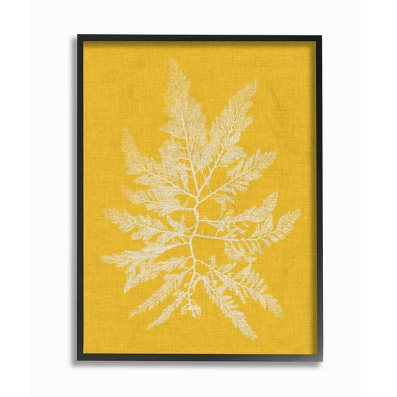 Stupell Industries Coral Seaweed Yellow White Beach Design Framed Wall Art by Vision Studio