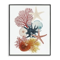 Stupell Industries Coral & Undersea Creatures Animals Painting Black Framed Art Print Wall Art, 11 x 14