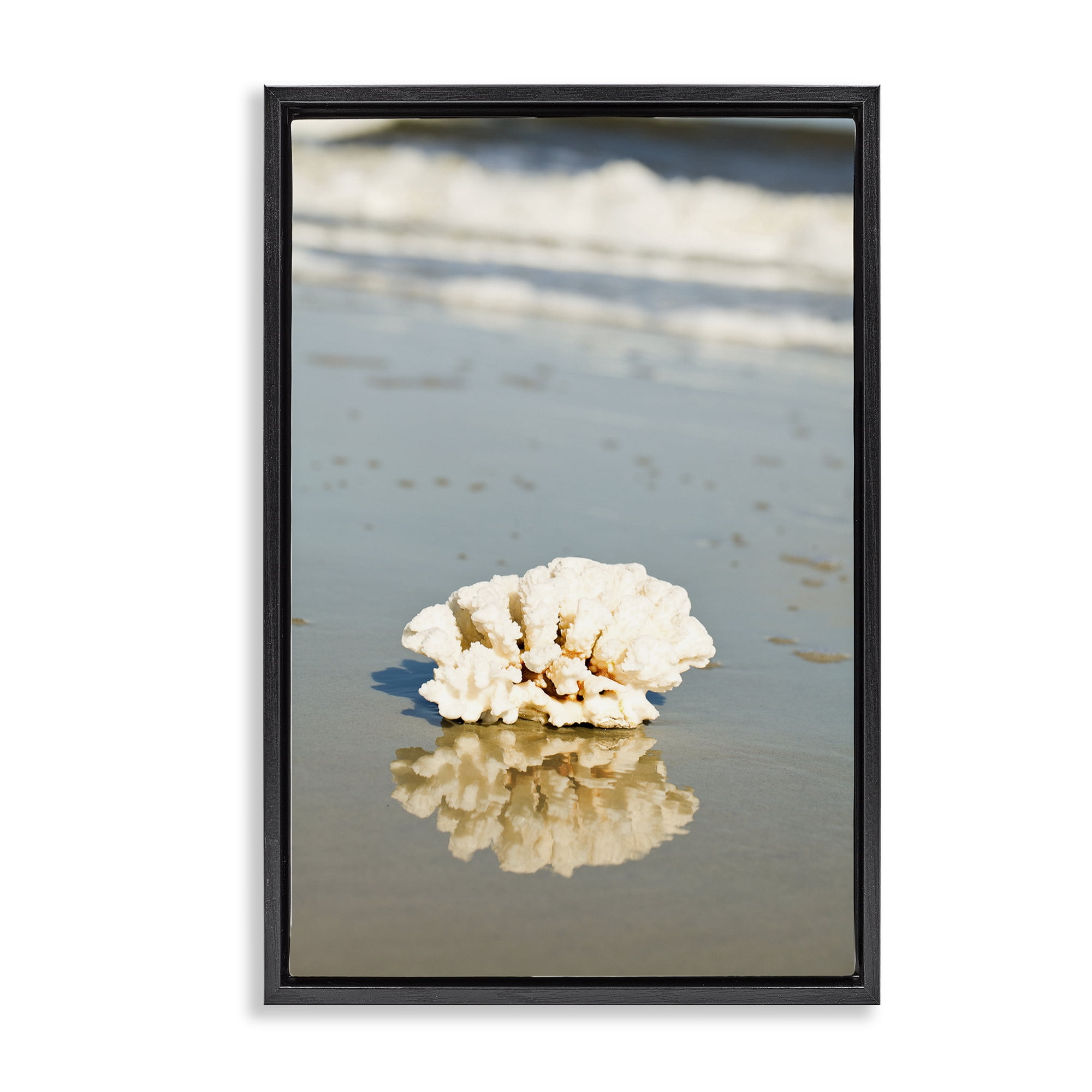 Stupell Industries Coral on Sea Shore Coastal Photography Black Floater Framed Canvas Art Print Wall Art, 17 x 25