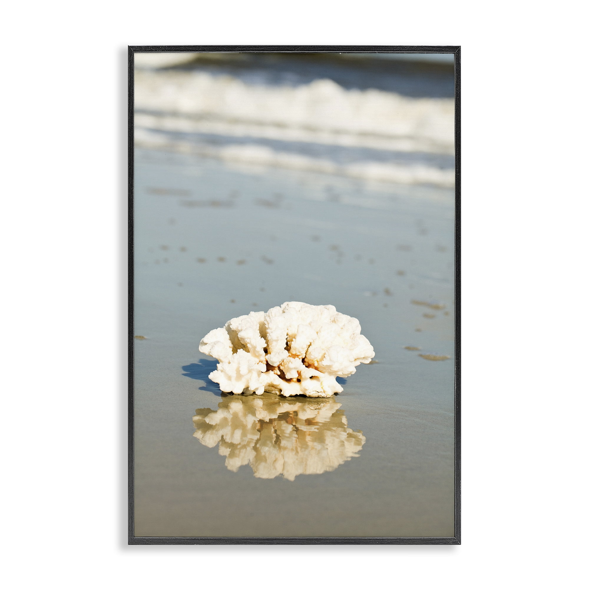 Stupell Industries Coral on Sea Shore Coastal Photography Black Framed Art Print Wall Art, 12 x 18