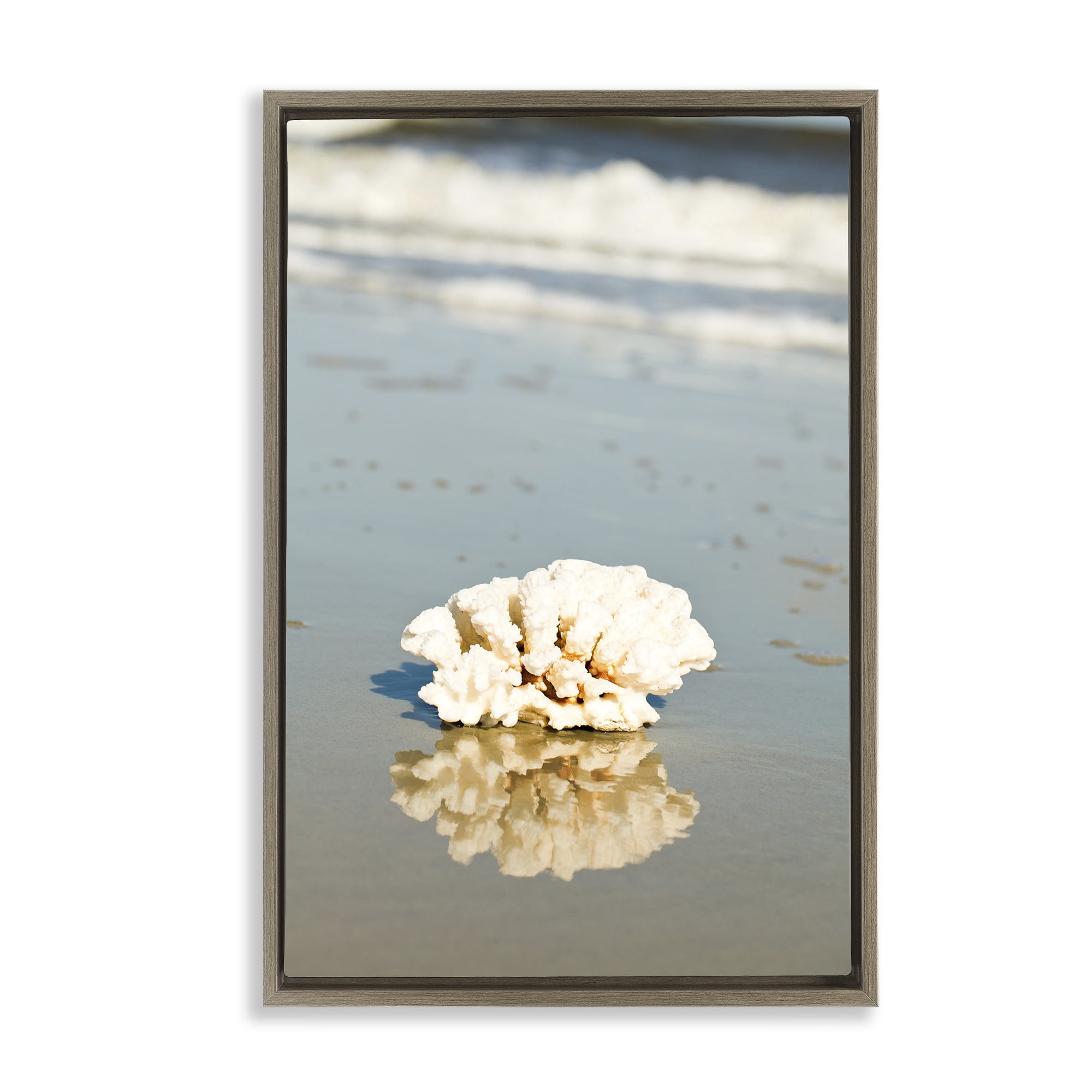 Stupell Industries Coral on Sea Shore Coastal Photography Brown Floater Framed Canvas Art Print Wall Art, 21 x 31