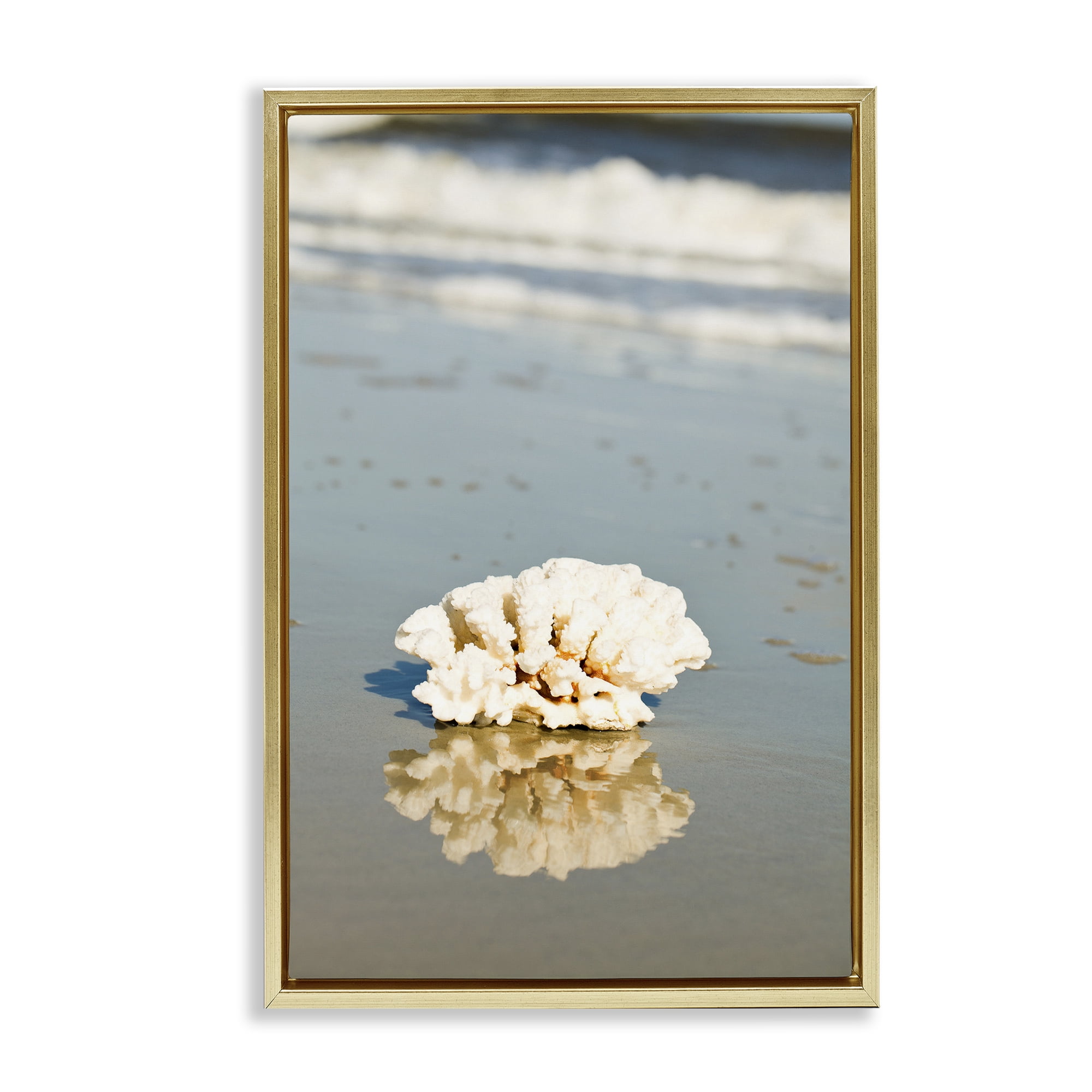 Stupell Industries Coral on Sea Shore Coastal Photography Gold Floater Framed Canvas Art Print Wall Art, 17 x 25