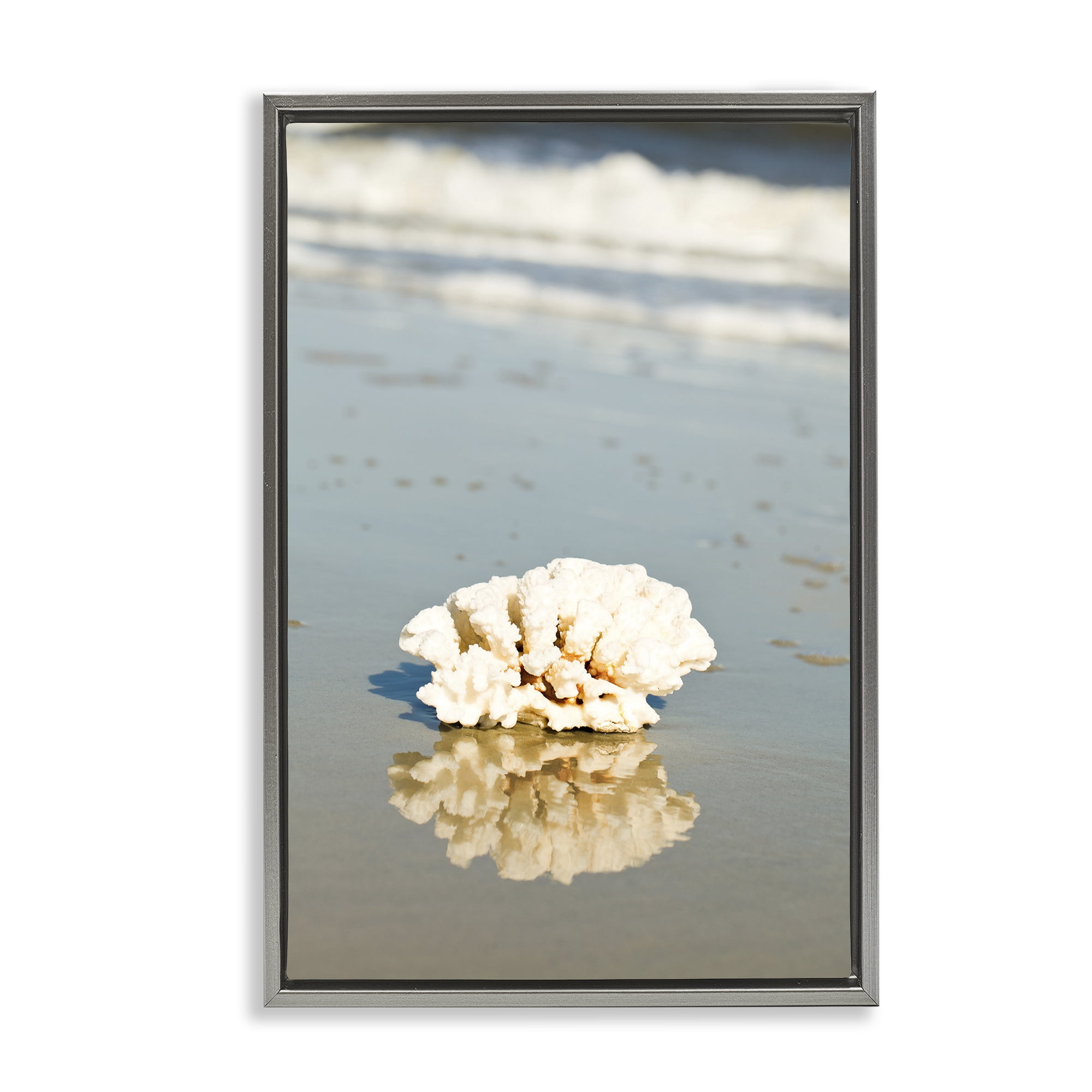 Stupell Industries Coral on Sea Shore Coastal Photography Gray Floater Framed Canvas Art Print Wall Art, 17 x 25