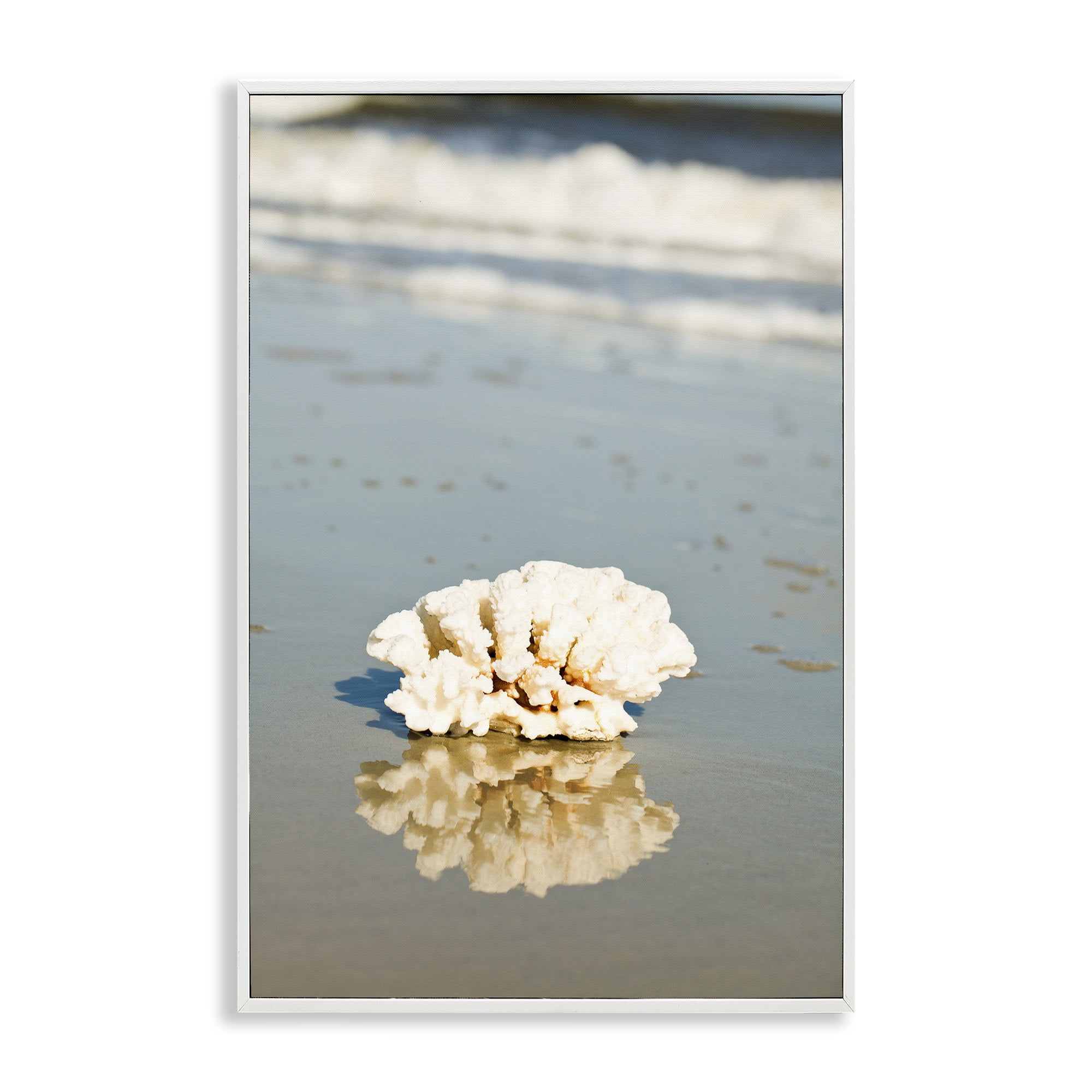 Stupell Industries Coral on Sea Shore Coastal Photography White Framed Art Print Wall Art, 12 x 18