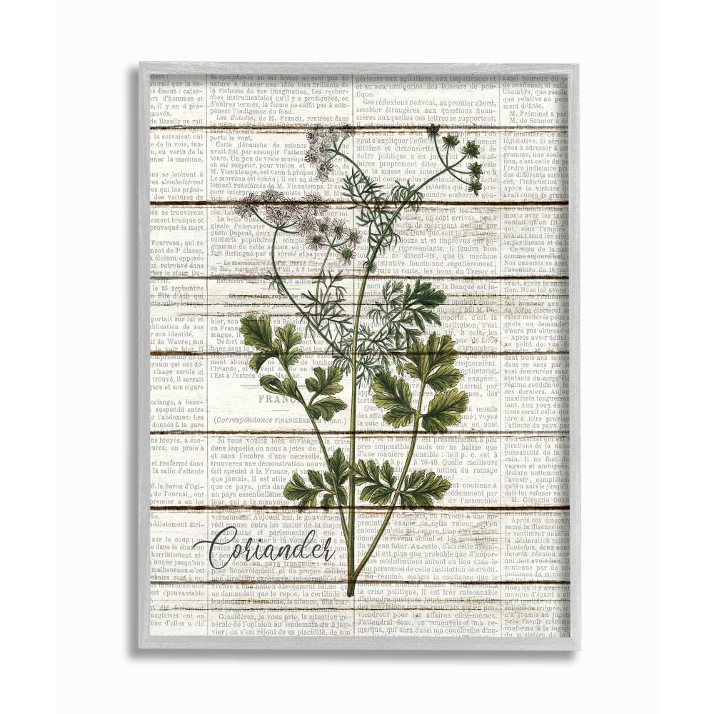 Stupell Industries Coriander Vintage Herb Kitchen Dining Room Word Collage Design Gray Farmhouse Rustic Framed Giclee Texturized Art by Kimberly Allen