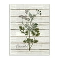thumbnail image 1 of Stupell Industries Coriander Vintage Herb Kitchen Dining Room Word Collage Design Wall Plaque Art by Kimberly Allen, 1 of 6