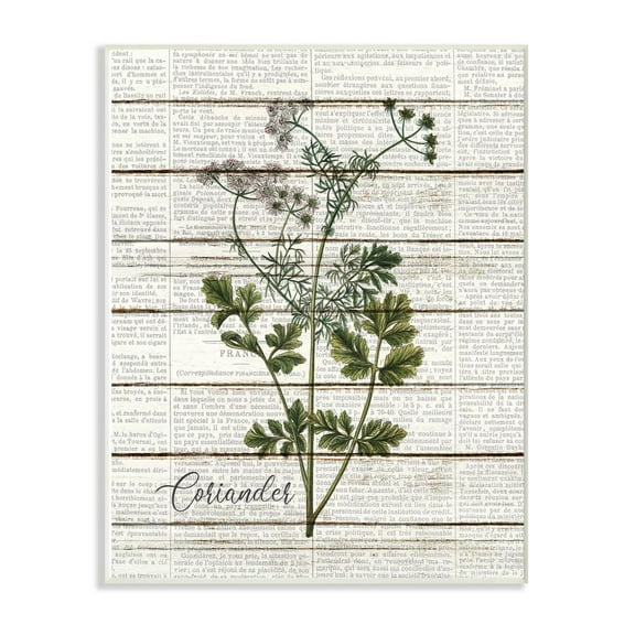 Stupell Industries Coriander Vintage Herb Kitchen Dining Room Word Collage Design Wall Plaque Art by Kimberly Allen