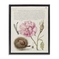 thumbnail image 1 of Stupell Industries Cottage Antique Study Page Black Floating Frame Canvas Art, 17 x 21, by Joris Hoefnagel, 1 of 8