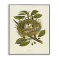 thumbnail image 1 of Stupell Industries Cottage Birdnest with Spotted Eggs Gray Framed Giclee Art, 24 x 30, by Tina Higgins Designs Inc., 1 of 8