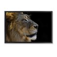 thumbnail image 1 of Stupell Industries Cottage Black Floating Frame Canvas Art, 25 x 17, by Danita Delimont, 1 of 9