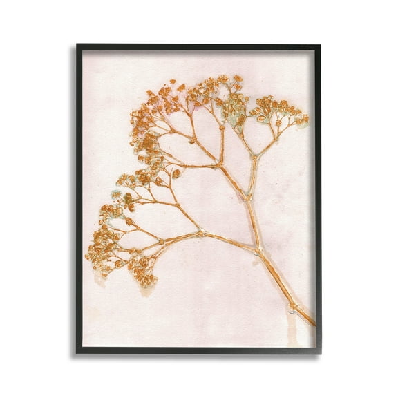 Stupell Industries Cottage Botanical Branches Botanical & Floral Painting Black Framed Art Print Wall Art, 11 x 14