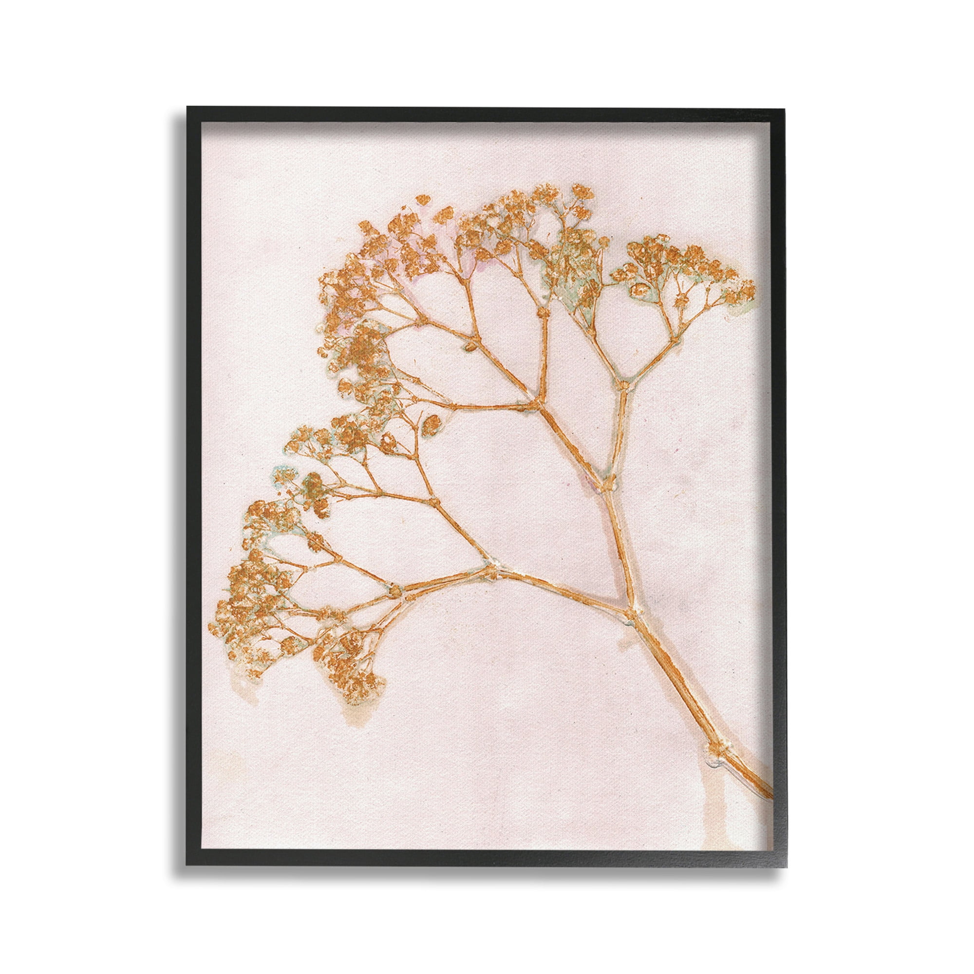 Stupell Industries Cottage Botanical Branches Botanical & Floral Painting Black Framed Art Print Wall Art, 16 x 20